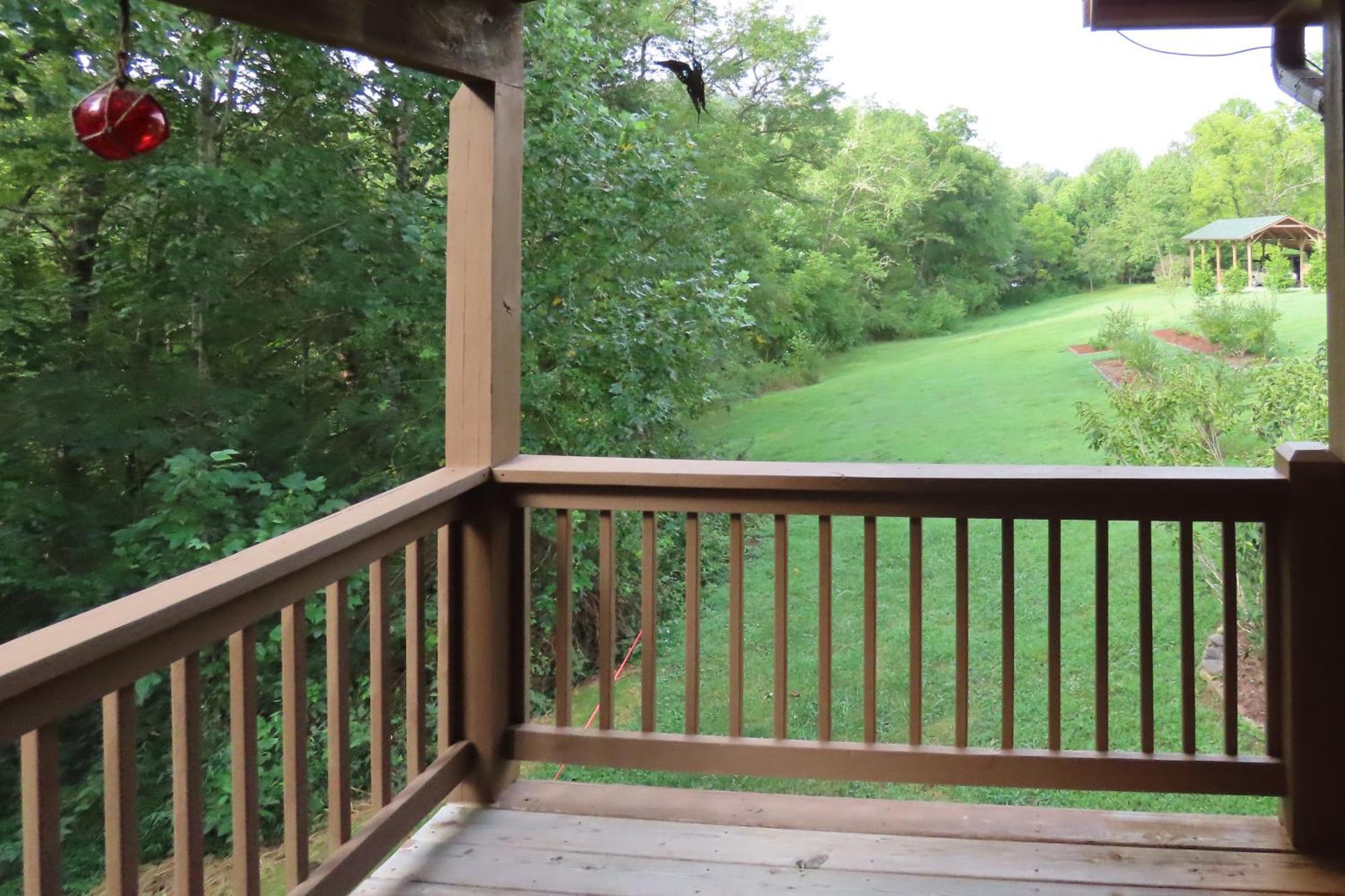 Scenic Fox Ridge Cabin On 4 Acres With Hot Tub! Whittier Eksteriør billede