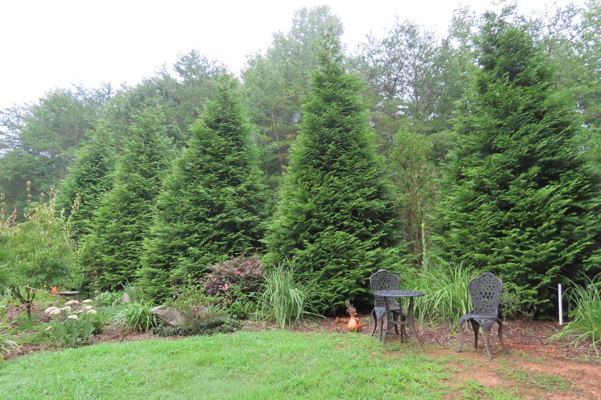 Scenic Fox Ridge Cabin On 4 Acres With Hot Tub! Whittier Eksteriør billede